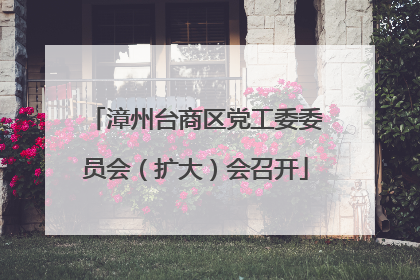 漳州台商区党工委委员会（扩大）会召开