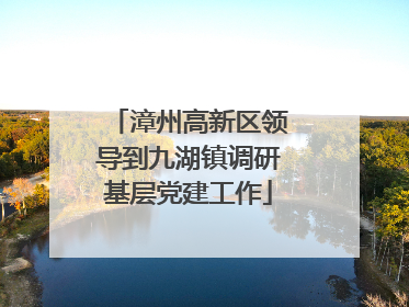 漳州高新区领导到九湖镇调研基层党建工作