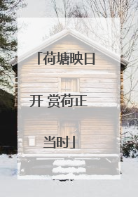 荷塘映日开 赏荷正当时