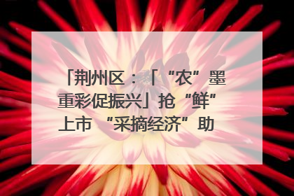 荆州区：「“农”墨重彩促振兴」抢“鲜”上市 “采摘经济”助农“甜蜜增收”