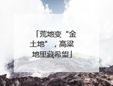 荒地变“金土地”，高粱地里藏希望