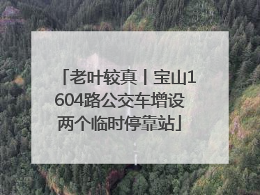 老叶较真丨宝山1604路公交车增设两个临时停靠站