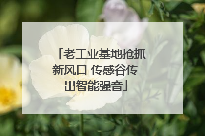 老工业基地抢抓新风口 传感谷传出智能强音