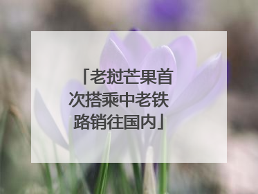 老挝芒果首次搭乘中老铁路销往国内