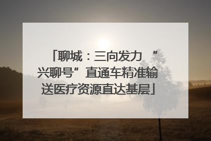 聊城：三向发力 “兴聊号”直通车精准输送医疗资源直达基层