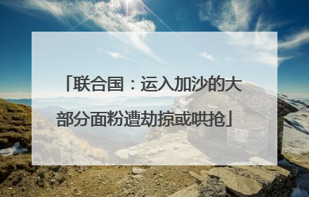 联合国：运入加沙的大部分面粉遭劫掠或哄抢