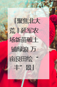 聚焦北大荒丨延军农场新苗破土铺绿浪 万亩良田绘“丰”景