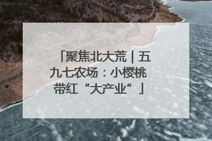 聚焦北大荒｜五九七农场：小樱桃带红“大产业”