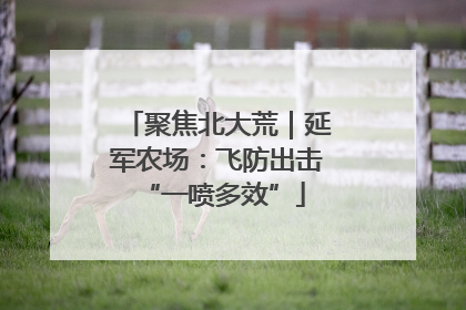 聚焦北大荒｜延军农场：飞防出击 “一喷多效”