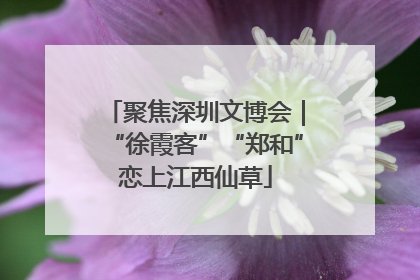 聚焦深圳文博会｜“徐霞客”“郑和”恋上江西仙草