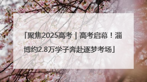 聚焦2025高考｜高考启幕！淄博约2.8万学子奔赴逐梦考场