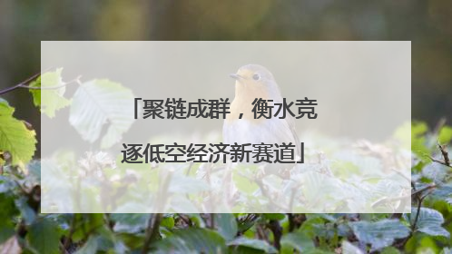 聚链成群，衡水竞逐低空经济新赛道