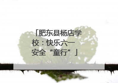 肥东县杨店学校：快乐六一 安全“童行”