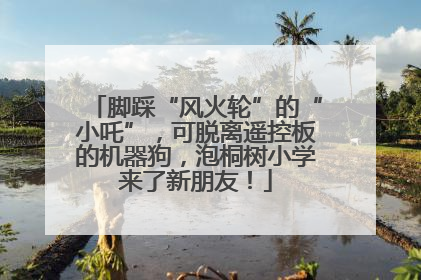 脚踩“风火轮”的“小吒”，可脱离遥控板的机器狗，泡桐树小学来了新朋友！