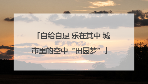 自给自足 乐在其中 城市里的空中“田园梦”