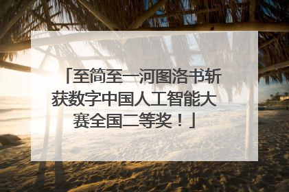 至简至一河图洛书斩获数字中国人工智能大赛全国二等奖！
