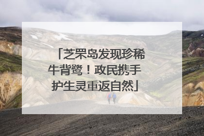 芝罘岛发现珍稀牛背鹭！政民携手护生灵重返自然