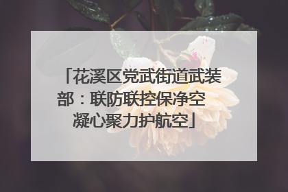 花溪区党武街道武装部：联防联控保净空 凝心聚力护航空