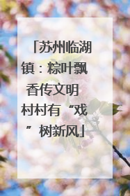 苏州临湖镇：粽叶飘香传文明 村村有“戏”树新风