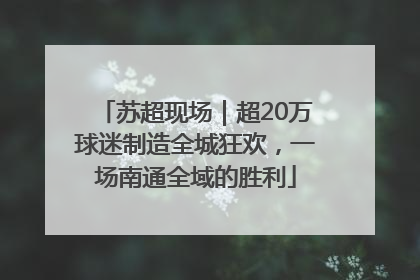 苏超现场｜超20万球迷制造全城狂欢，一场南通全域的胜利
