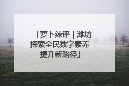 萝卜辣评｜潍坊探索全民数字素养提升新路径