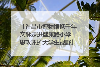 许昌市博物馆携千年文脉走进健康路小学 思政课扩大学生视野