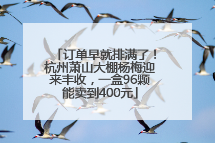 订单早就排满了！杭州萧山大棚杨梅迎来丰收，一盒96颗能卖到400元