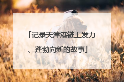 记录天津港链上发力、蓬勃向新的故事