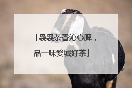 袅袅茶香沁心脾，品一味婺城好茶