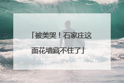 被美哭！石家庄这面花墙藏不住了