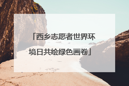 西乡志愿者世界环境日共绘绿色画卷