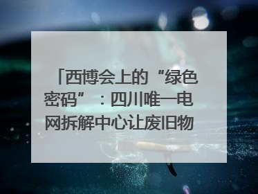 西博会上的“绿色密码”：四川唯一电网拆解中心让废旧物资“重生”｜西博寻“新”记