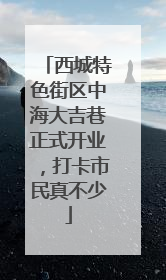西城特色街区中海大吉巷正式开业，打卡市民真不少