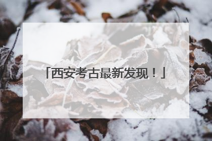 西安考古最新发现！