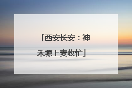 西安长安：神禾塬上麦收忙
