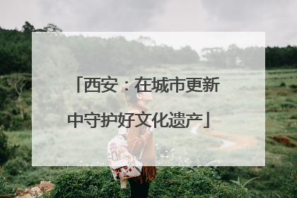 西安：在城市更新中守护好文化遗产