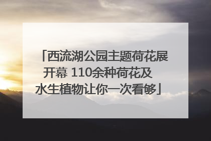 西流湖公园主题荷花展开幕 110余种荷花及水生植物让你一次看够