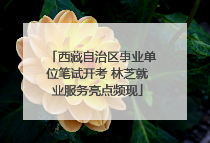 西藏自治区事业单位笔试开考 林芝就业服务亮点频现