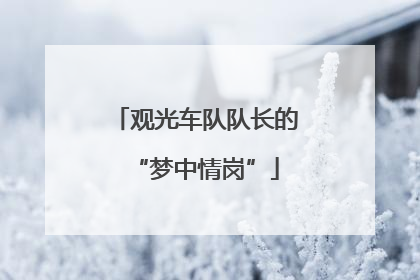 观光车队队长的“梦中情岗”