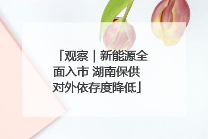 观察｜新能源全面入市 湖南保供对外依存度降低