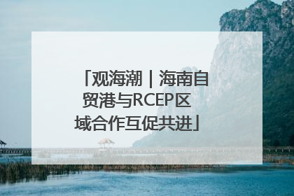 观海潮｜海南自贸港与RCEP区域合作互促共进