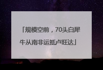 规模空前，70头白犀牛从南非运抵卢旺达