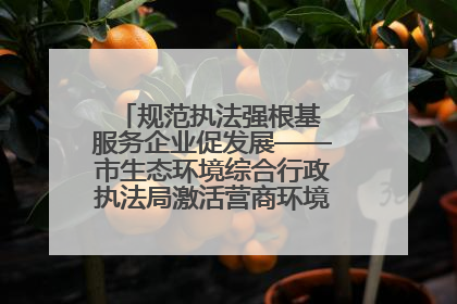 规范执法强根基 服务企业促发展——市生态环境综合行政执法局激活营商环境“绿色动能”