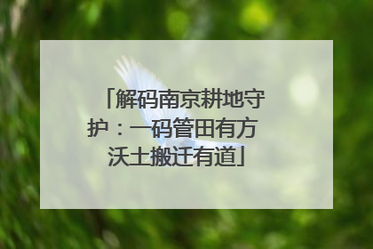解码南京耕地守护：一码管田有方 沃土搬迁有道