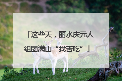 这些天，丽水庆元人组团满山“找苦吃”