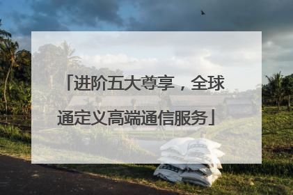 进阶五大尊享，全球通定义高端通信服务