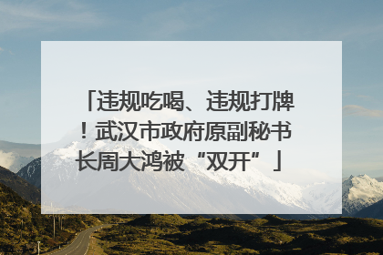 违规吃喝、违规打牌！武汉市政府原副秘书长周大鸿被“双开”