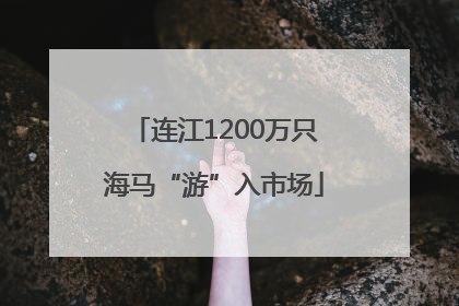 连江1200万只海马“游”入市场