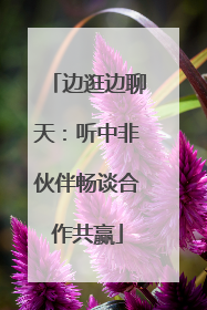 边逛边聊天：听中非伙伴畅谈合作共赢