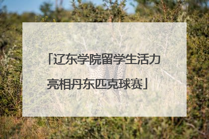 辽东学院留学生活力亮相丹东匹克球赛